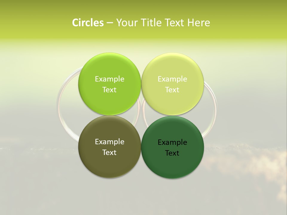 Two Wedding Rings Sitting On A Piece Of Wood PowerPoint Template