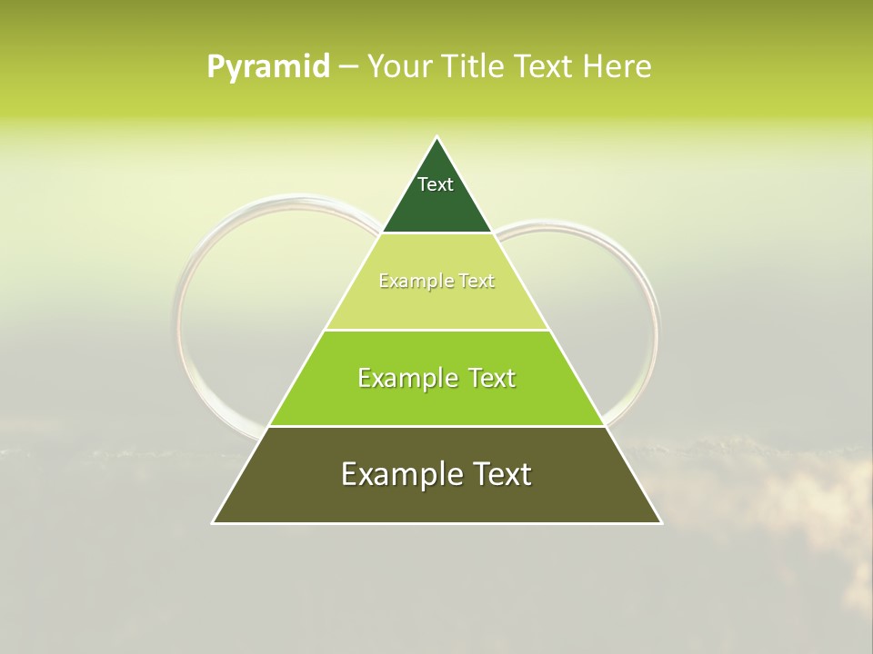 Two Wedding Rings Sitting On A Piece Of Wood PowerPoint Template