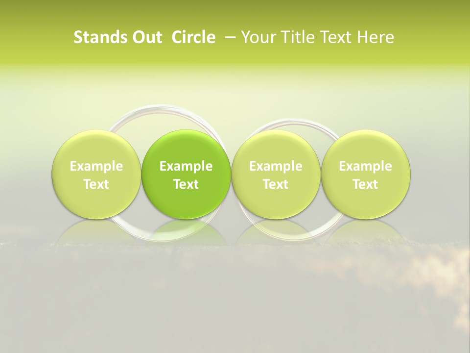 Two Wedding Rings Sitting On A Piece Of Wood PowerPoint Template