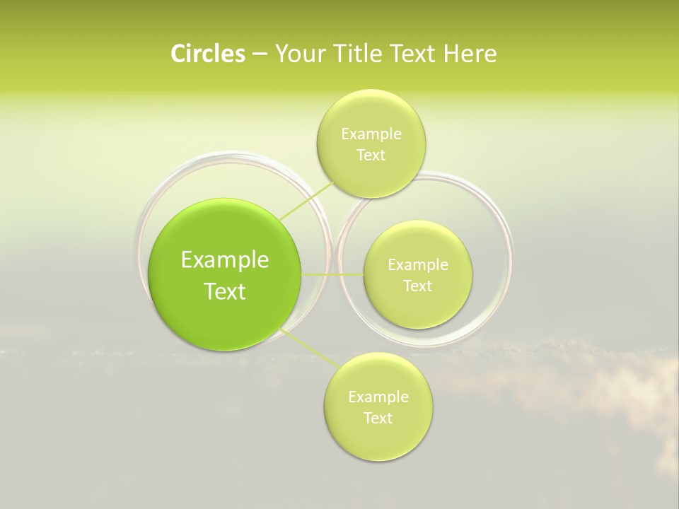 Two Wedding Rings Sitting On A Piece Of Wood PowerPoint Template