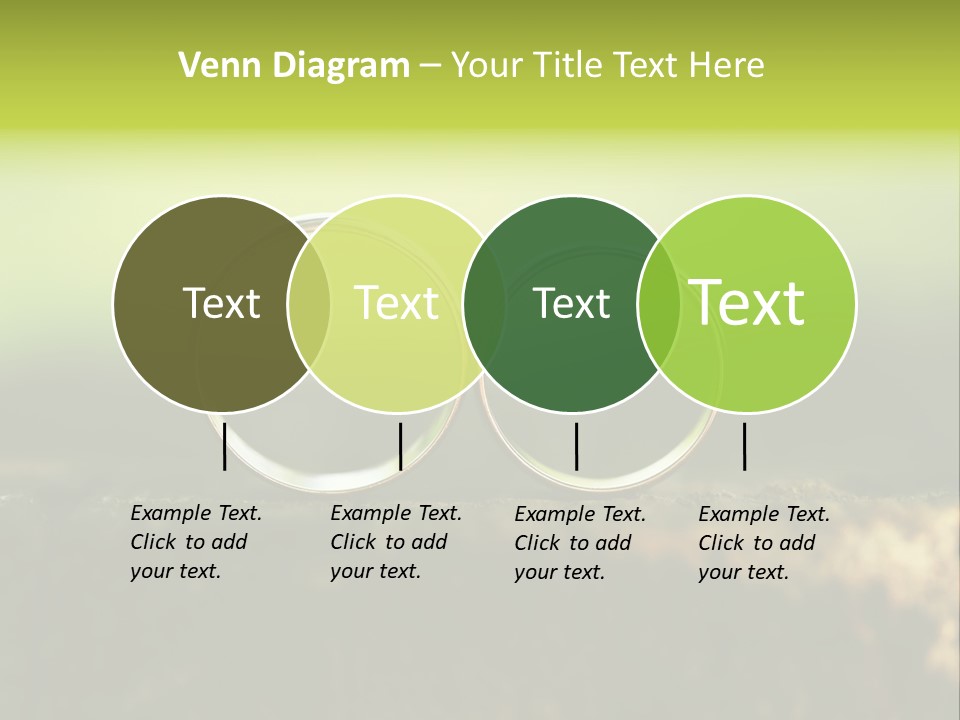 Two Wedding Rings Sitting On A Piece Of Wood PowerPoint Template