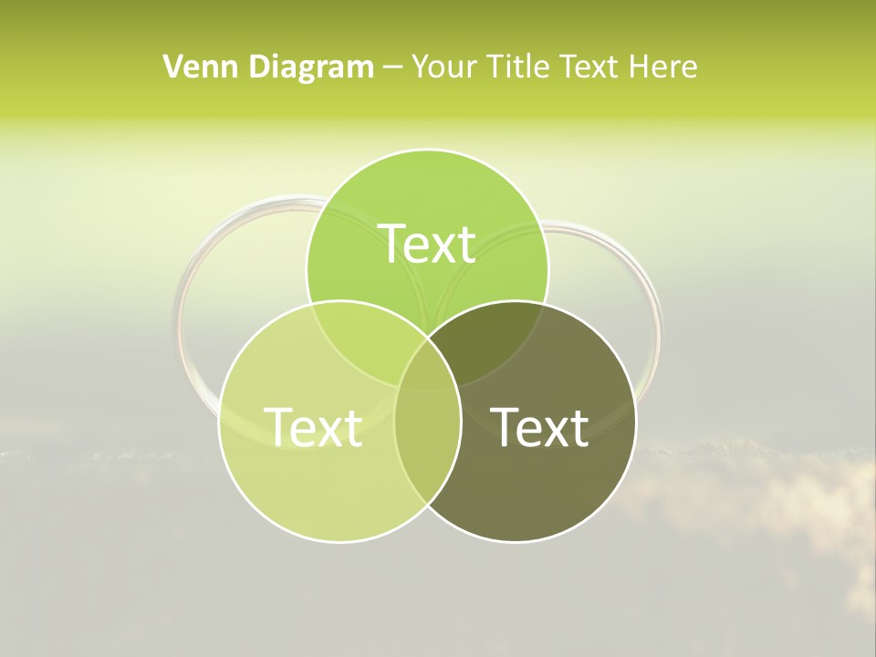 Two Wedding Rings Sitting On A Piece Of Wood PowerPoint Template