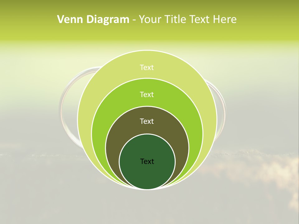 Two Wedding Rings Sitting On A Piece Of Wood PowerPoint Template