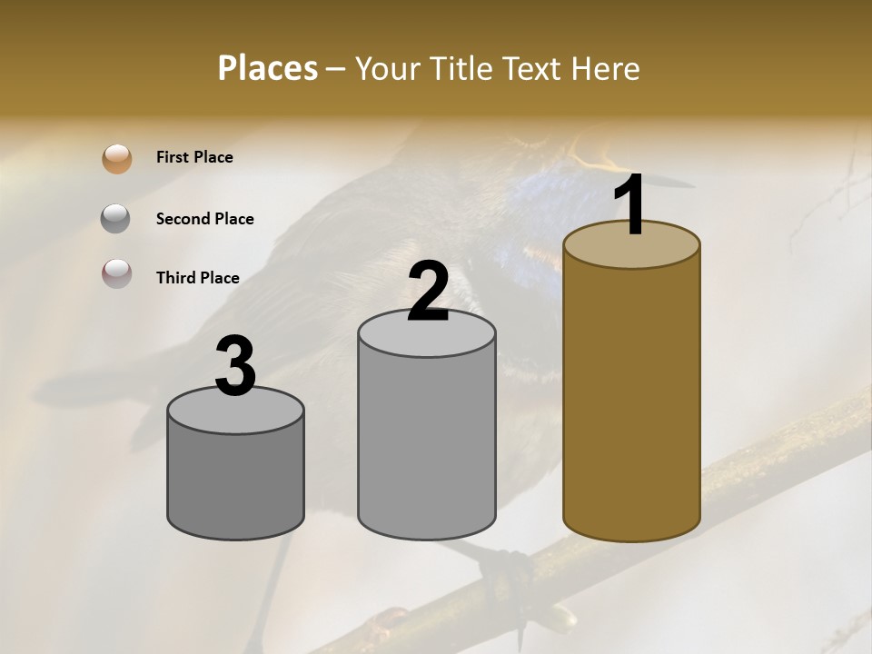 Beak Sitting Spot PowerPoint Template