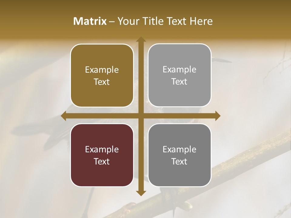 Beak Sitting Spot PowerPoint Template