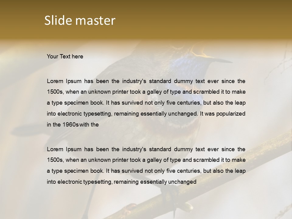 Beak Sitting Spot PowerPoint Template