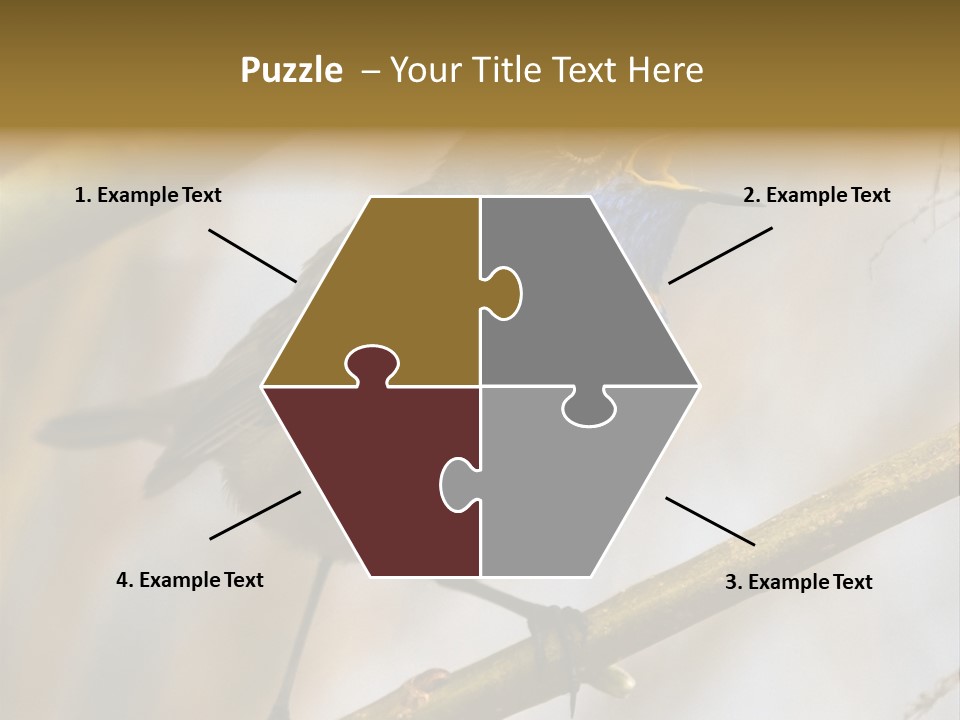 Beak Sitting Spot PowerPoint Template