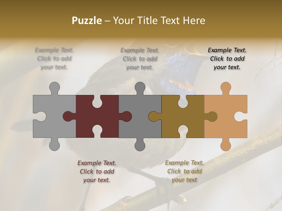 Beak Sitting Spot PowerPoint Template