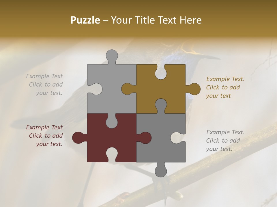 Beak Sitting Spot PowerPoint Template