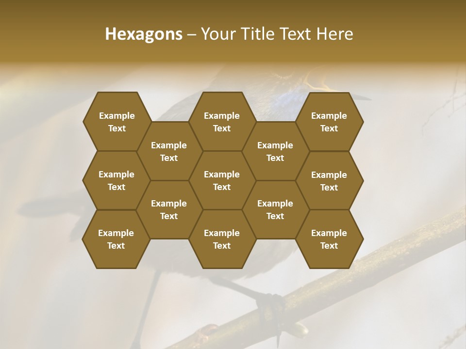 Beak Sitting Spot PowerPoint Template