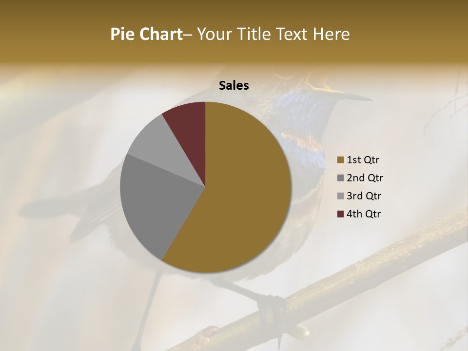 Beak Sitting Spot PowerPoint Template
