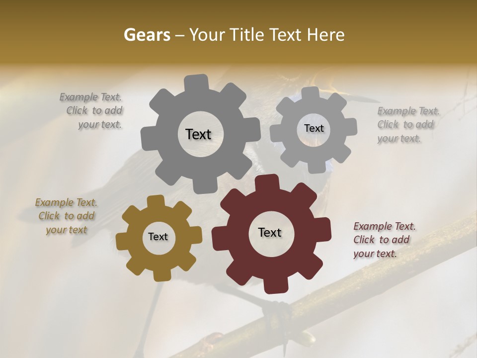 Beak Sitting Spot PowerPoint Template