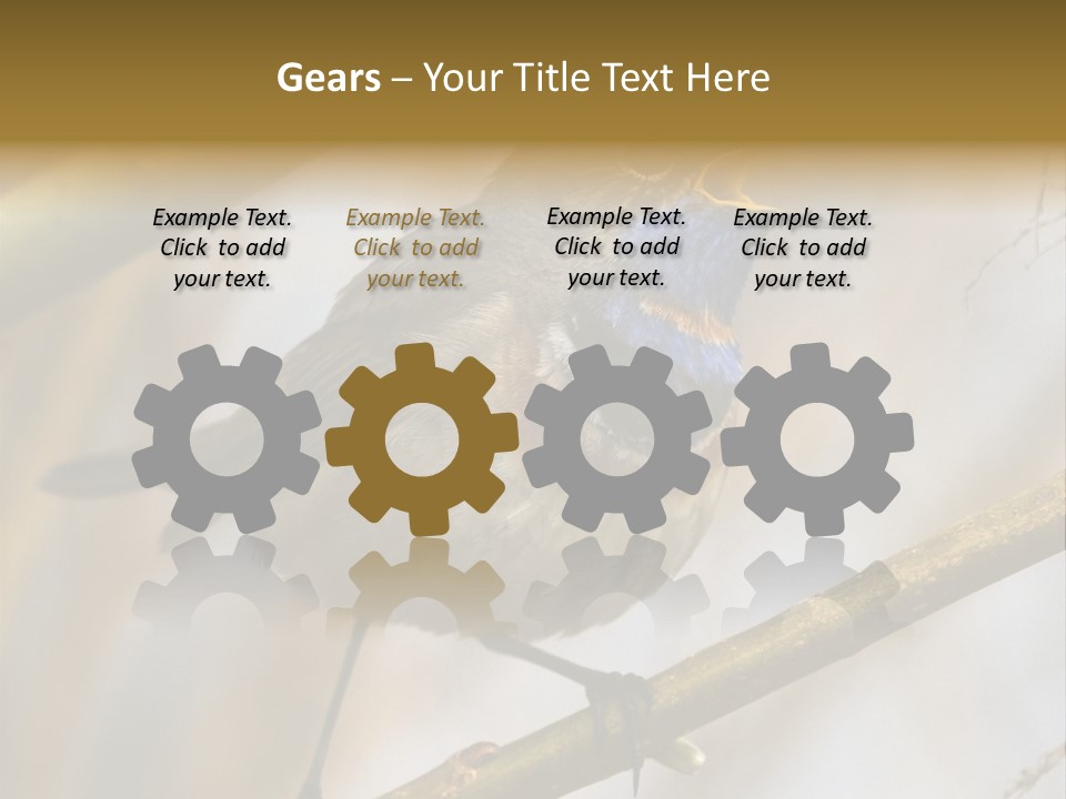 Beak Sitting Spot PowerPoint Template