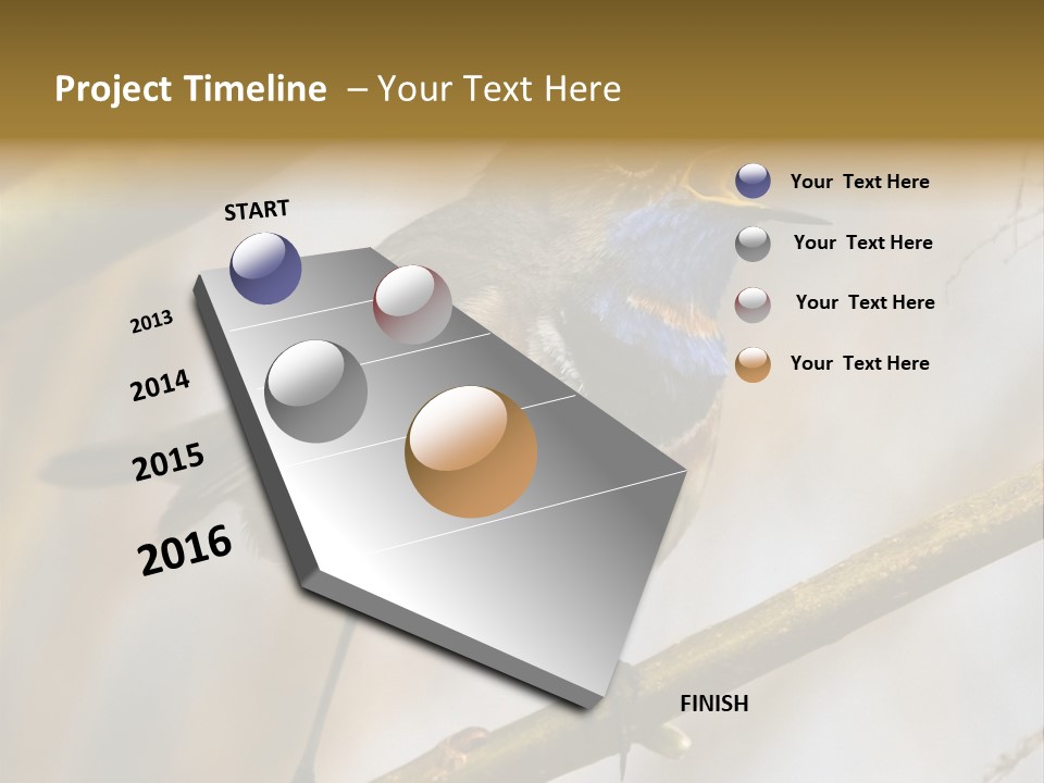 Beak Sitting Spot PowerPoint Template