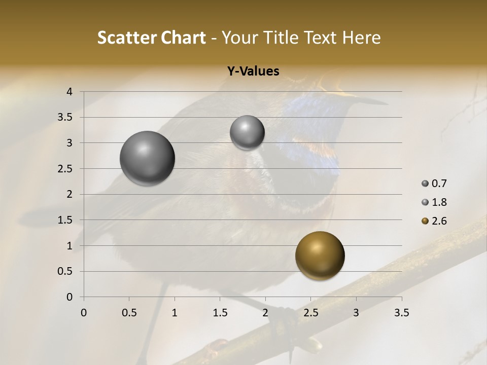Beak Sitting Spot PowerPoint Template