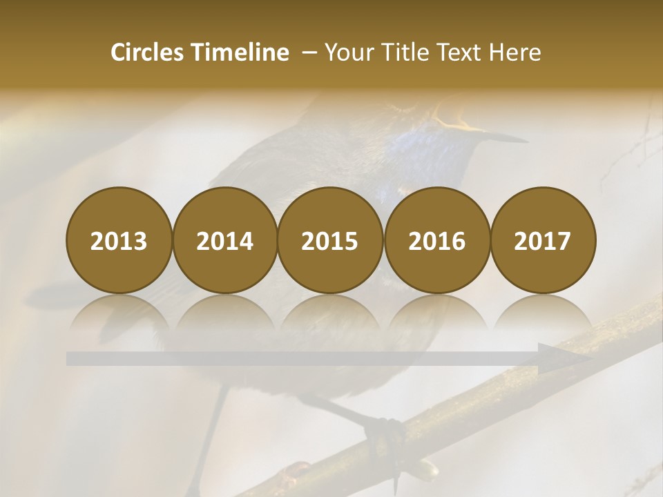 Beak Sitting Spot PowerPoint Template