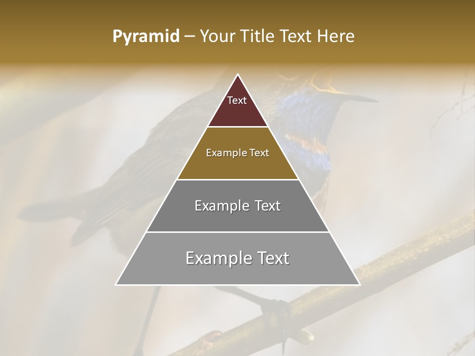 Beak Sitting Spot PowerPoint Template