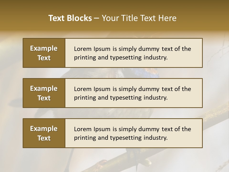Beak Sitting Spot PowerPoint Template