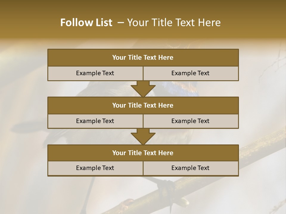 Beak Sitting Spot PowerPoint Template