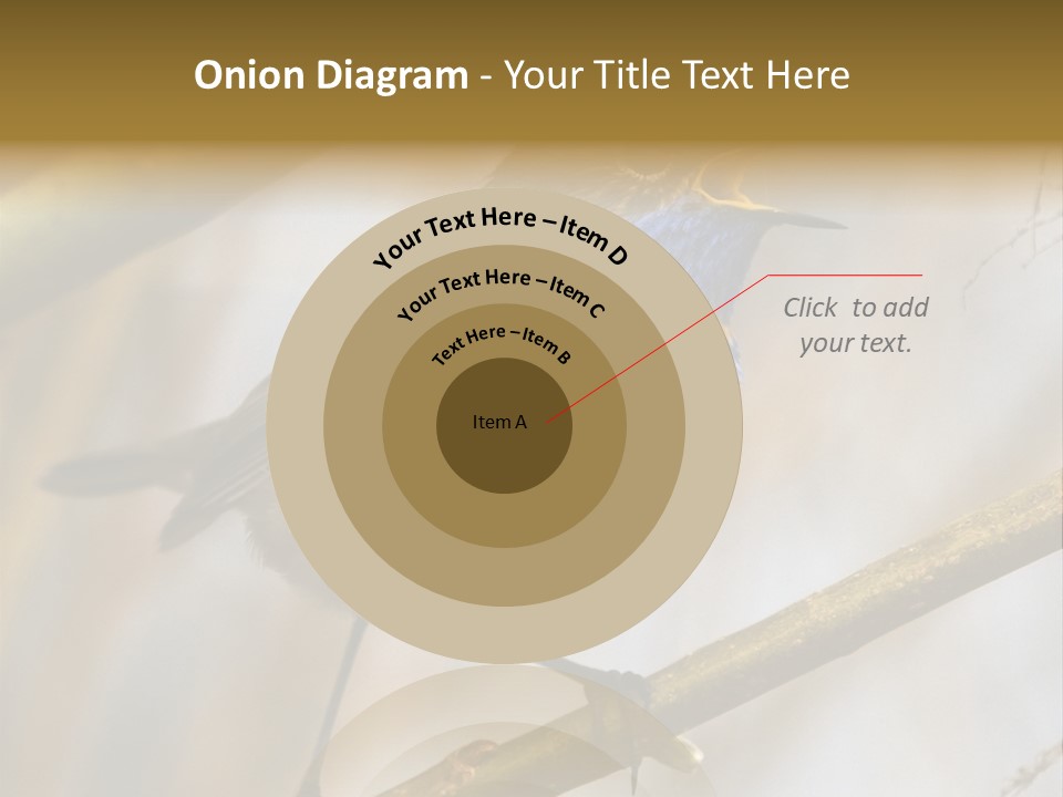 Beak Sitting Spot PowerPoint Template