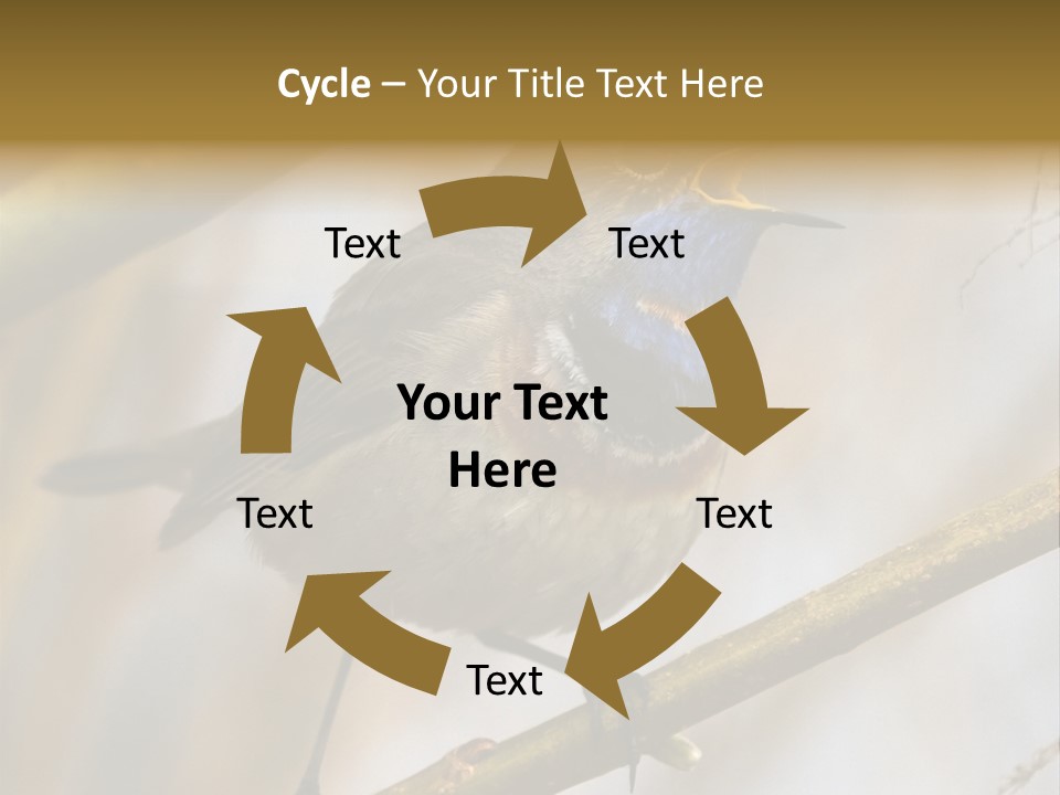 Beak Sitting Spot PowerPoint Template