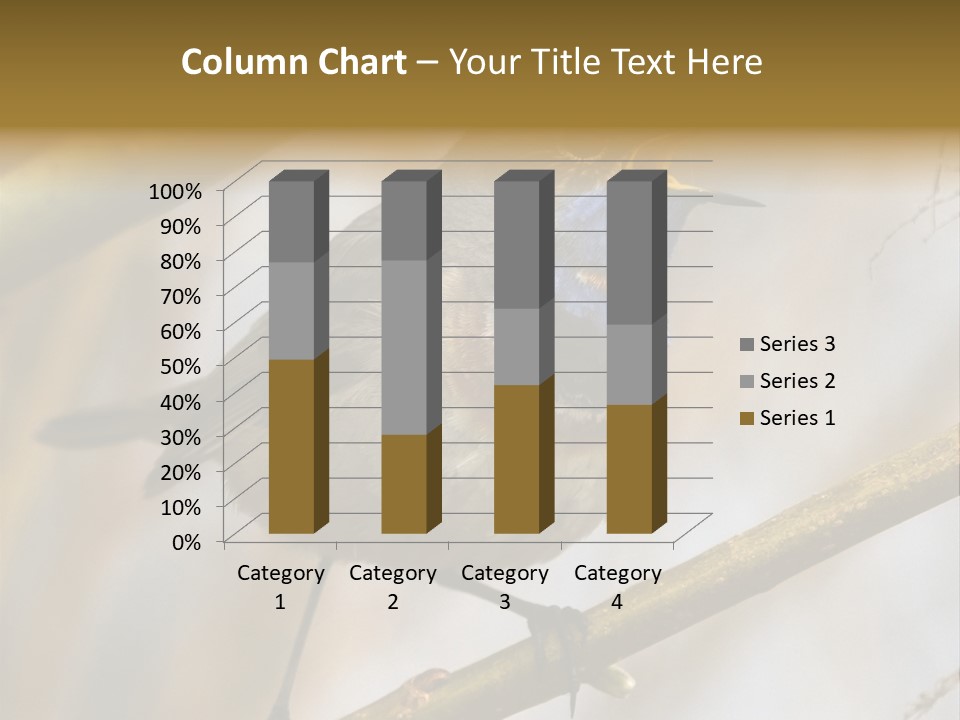 Beak Sitting Spot PowerPoint Template