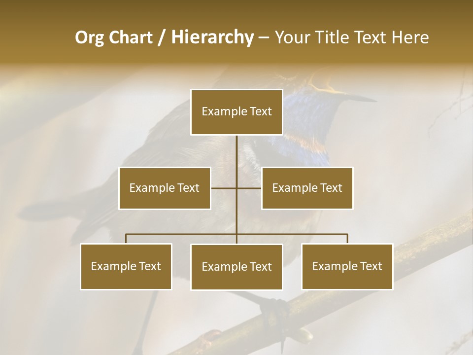 Beak Sitting Spot PowerPoint Template