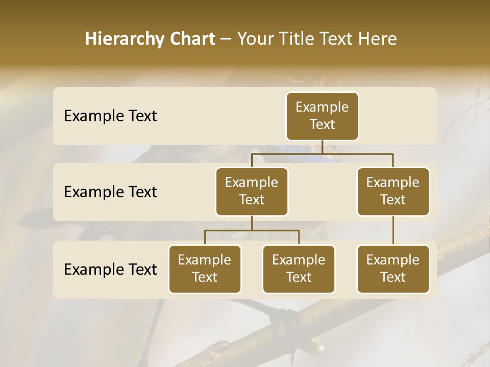 Beak Sitting Spot PowerPoint Template