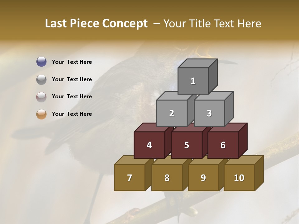 Beak Sitting Spot PowerPoint Template