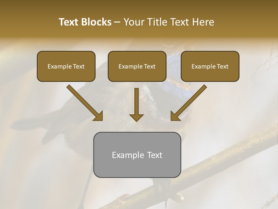 Beak Sitting Spot PowerPoint Template
