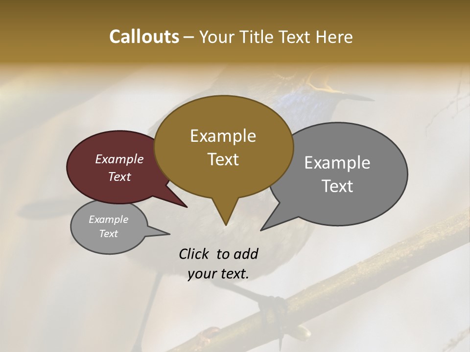 Beak Sitting Spot PowerPoint Template