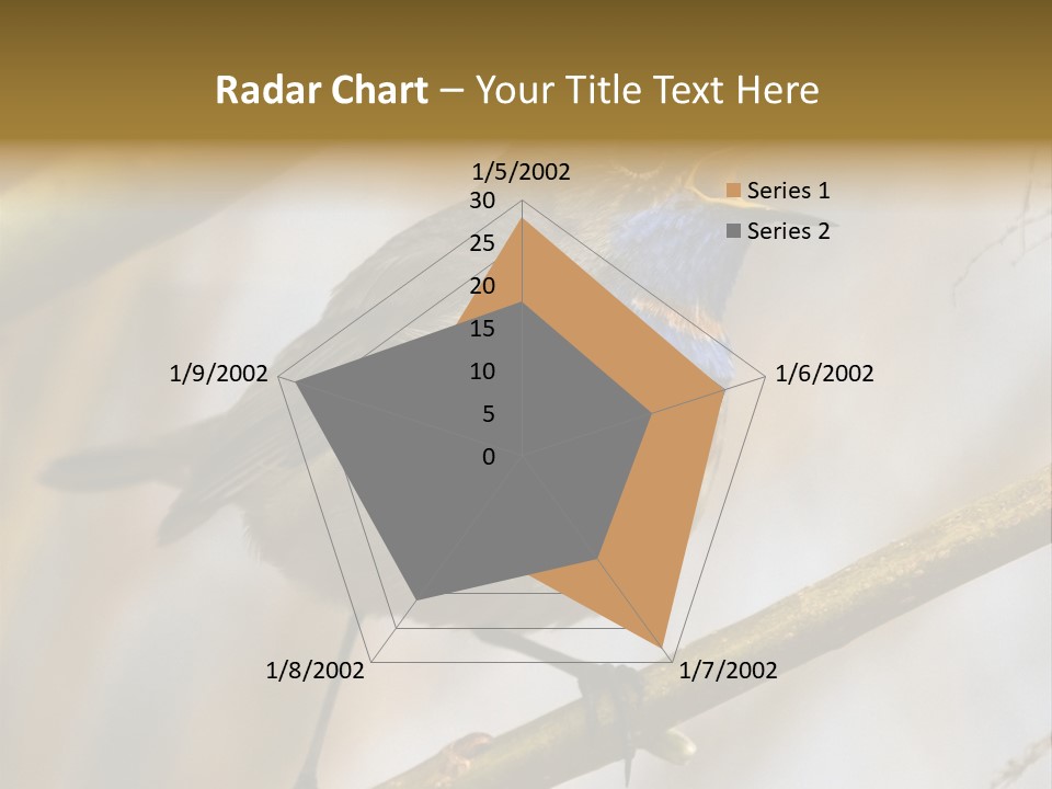 Beak Sitting Spot PowerPoint Template