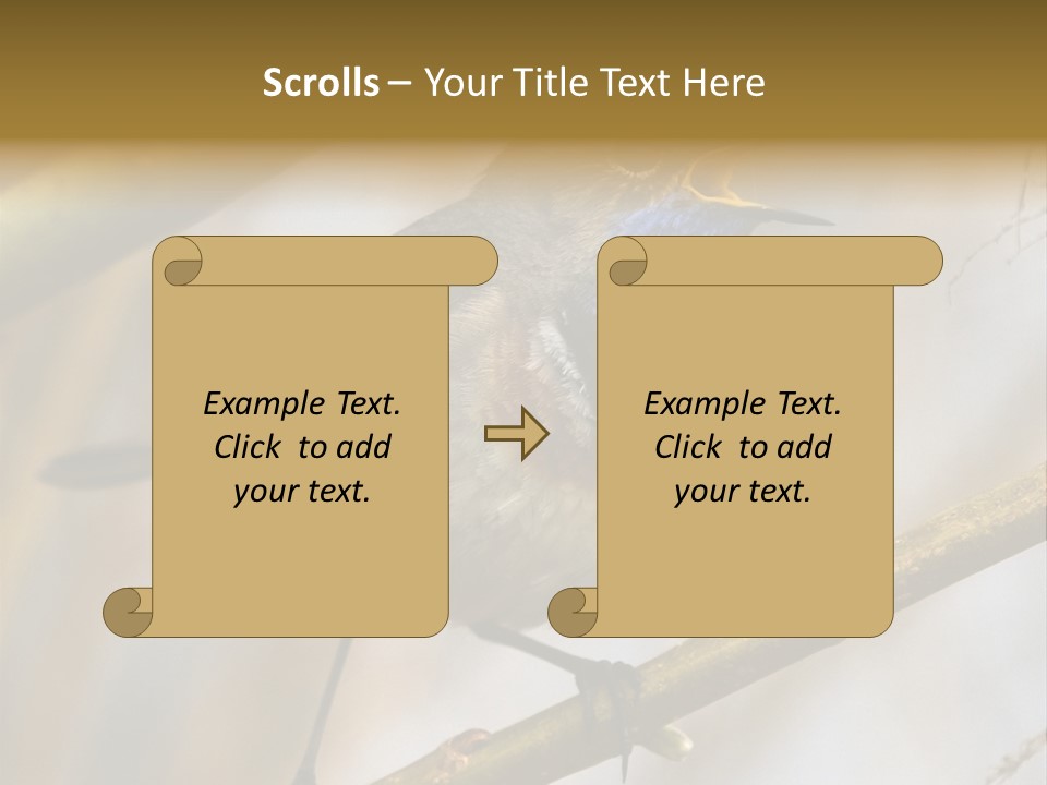 Beak Sitting Spot PowerPoint Template