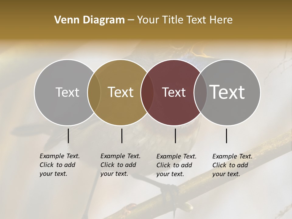 Beak Sitting Spot PowerPoint Template