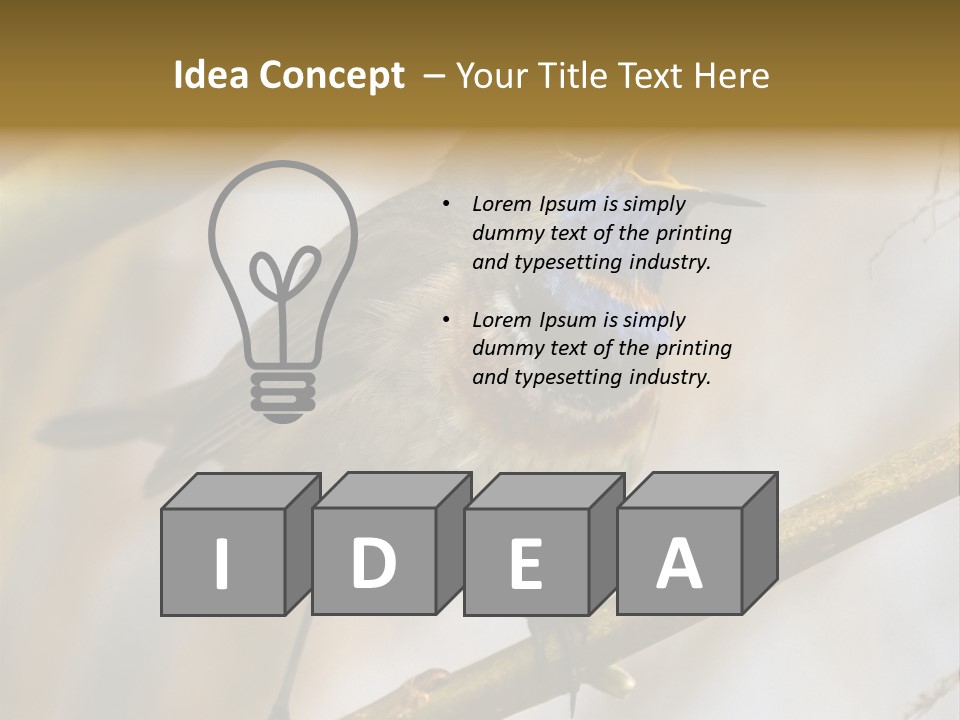 Beak Sitting Spot PowerPoint Template