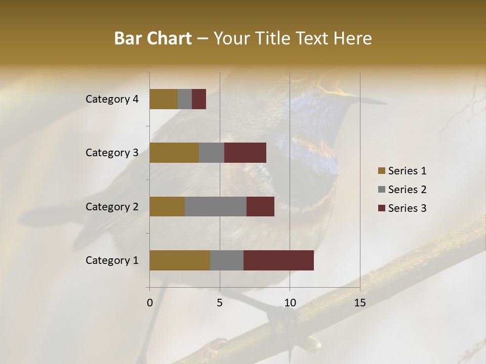 Beak Sitting Spot PowerPoint Template