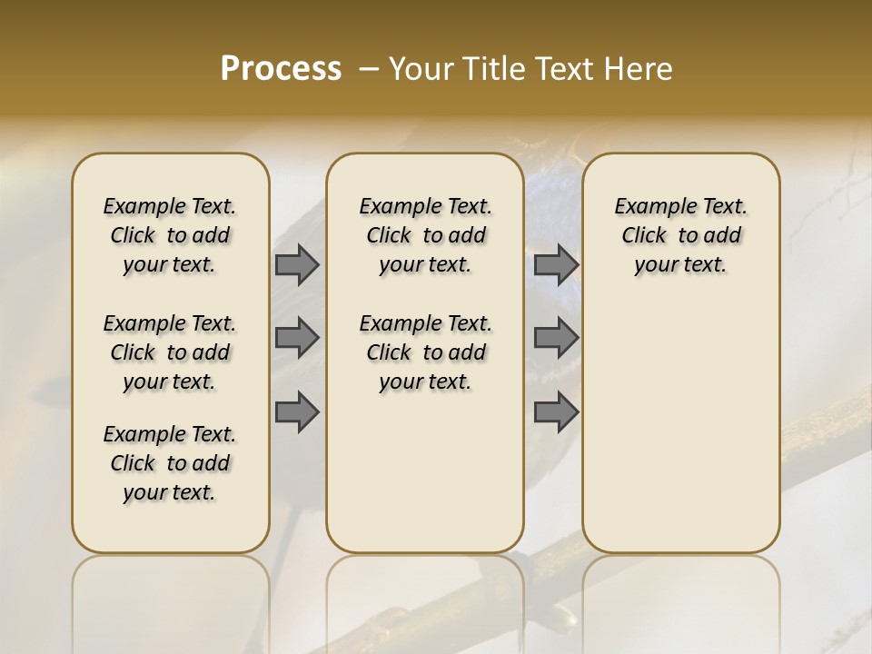 Beak Sitting Spot PowerPoint Template