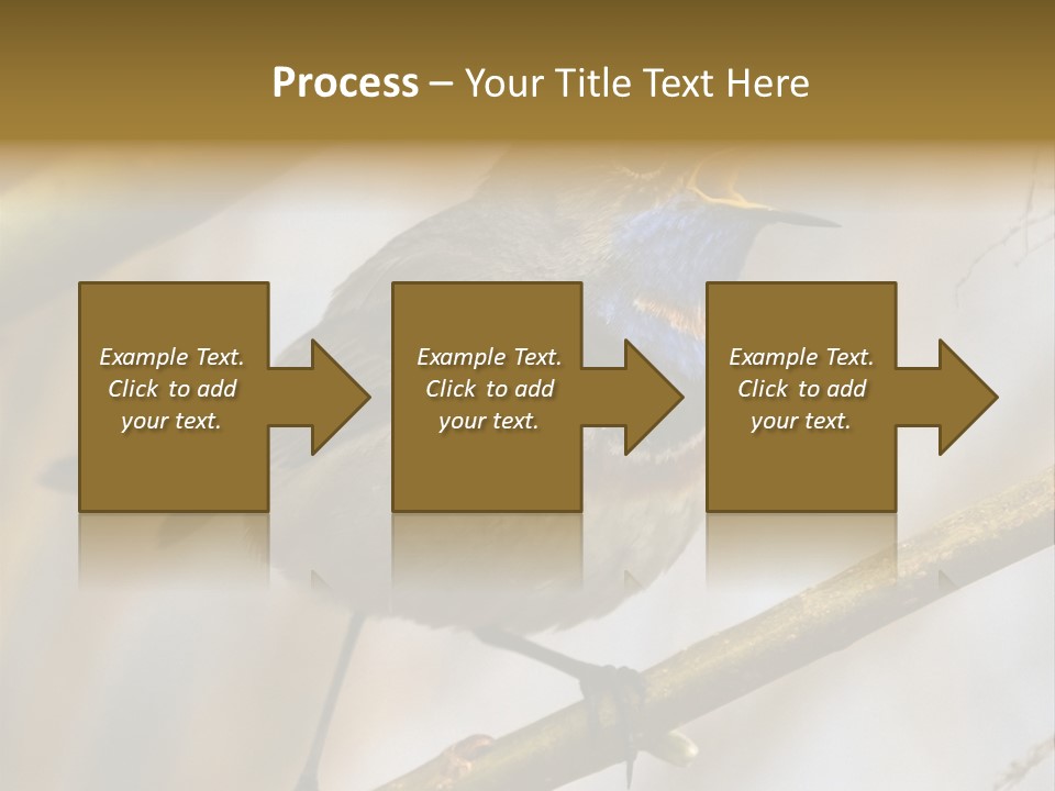 Beak Sitting Spot PowerPoint Template