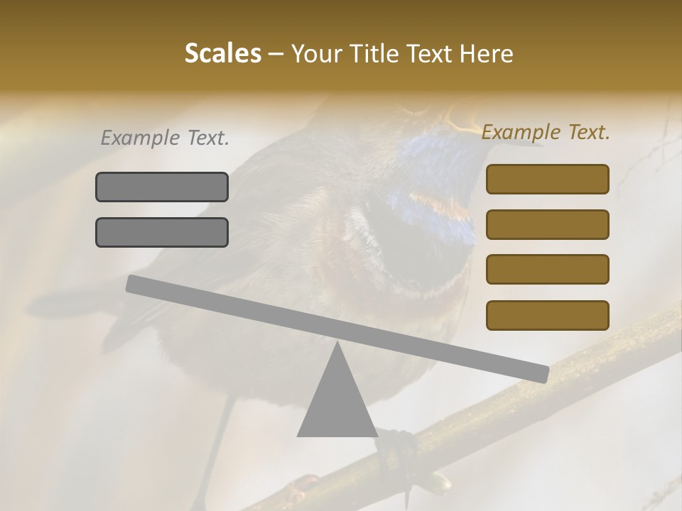 Beak Sitting Spot PowerPoint Template