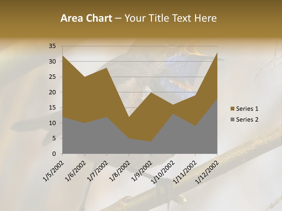Beak Sitting Spot PowerPoint Template
