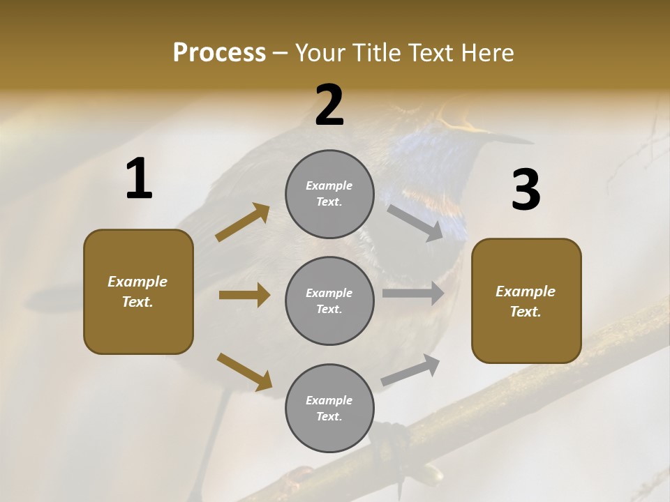 Beak Sitting Spot PowerPoint Template