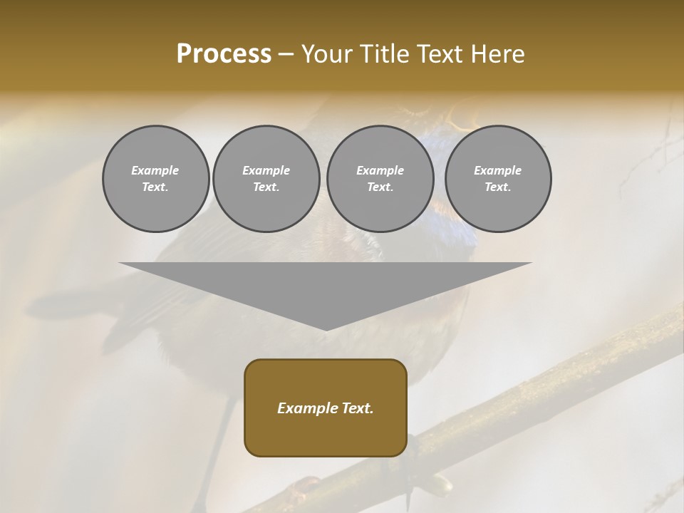 Beak Sitting Spot PowerPoint Template
