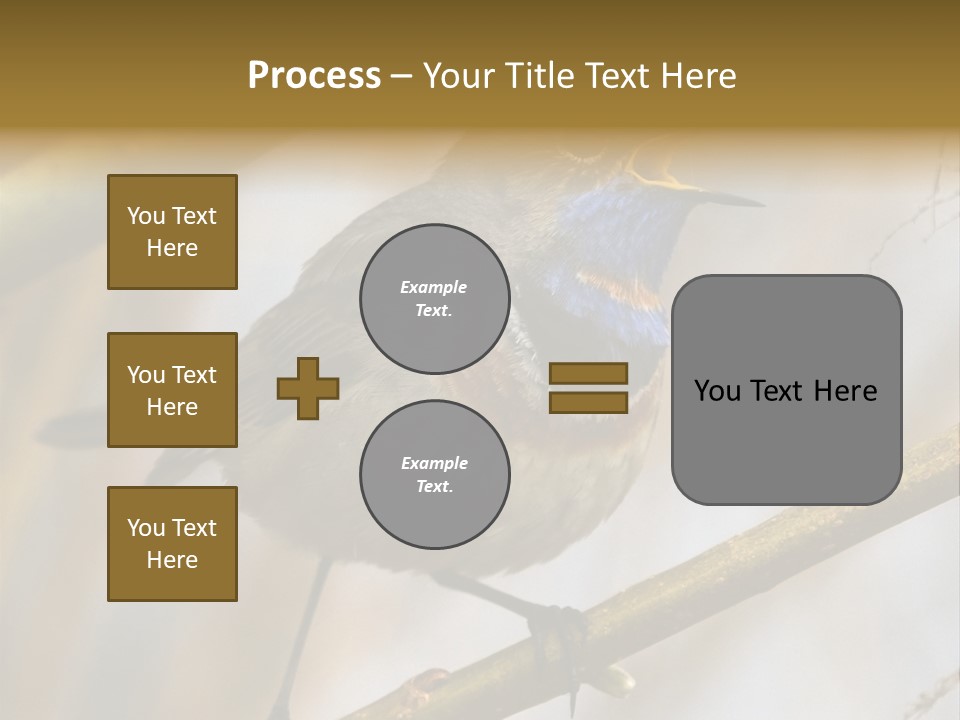 Beak Sitting Spot PowerPoint Template