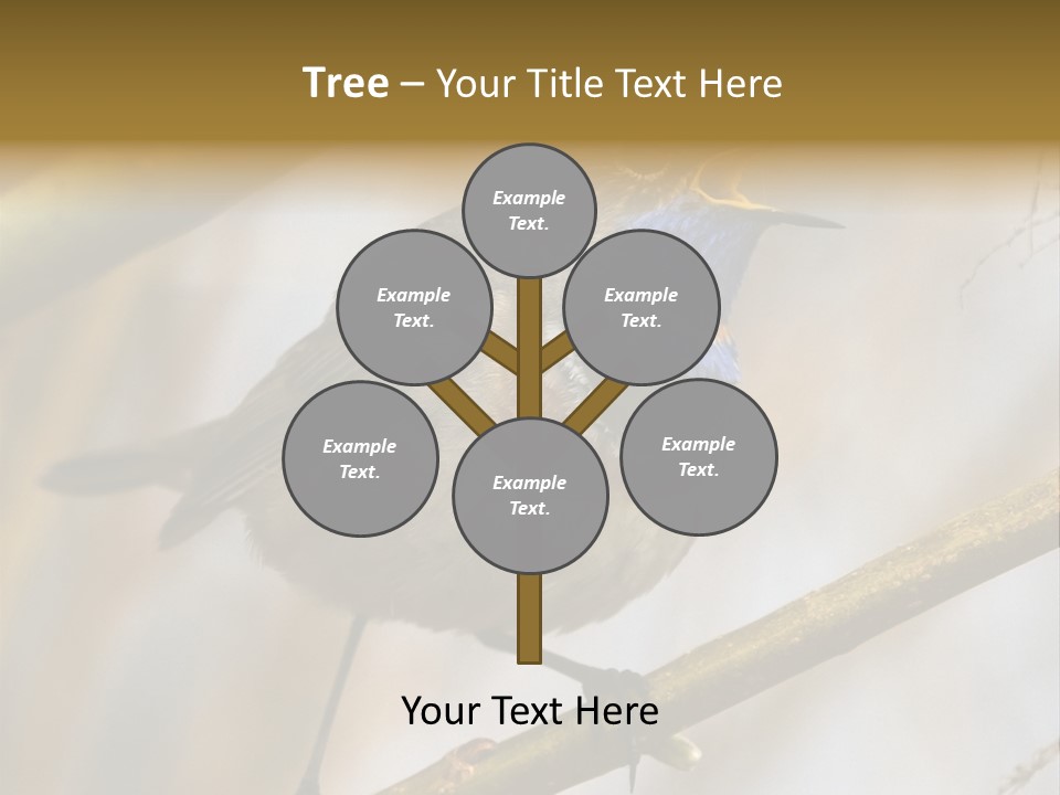 Beak Sitting Spot PowerPoint Template