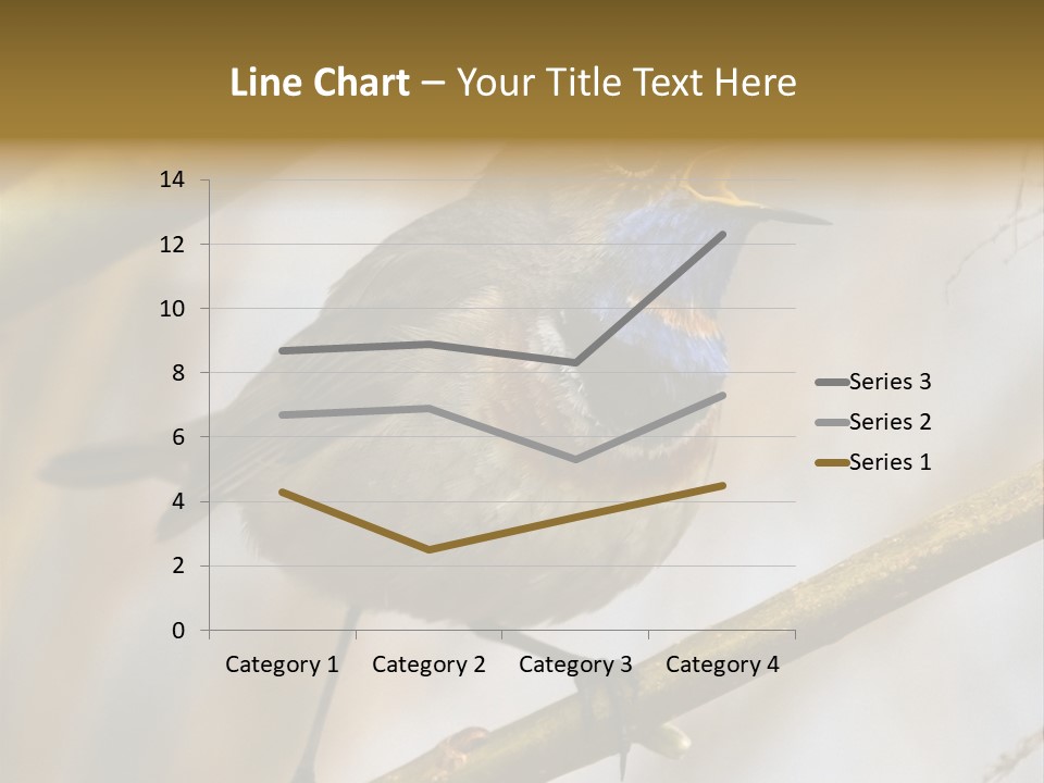 Beak Sitting Spot PowerPoint Template