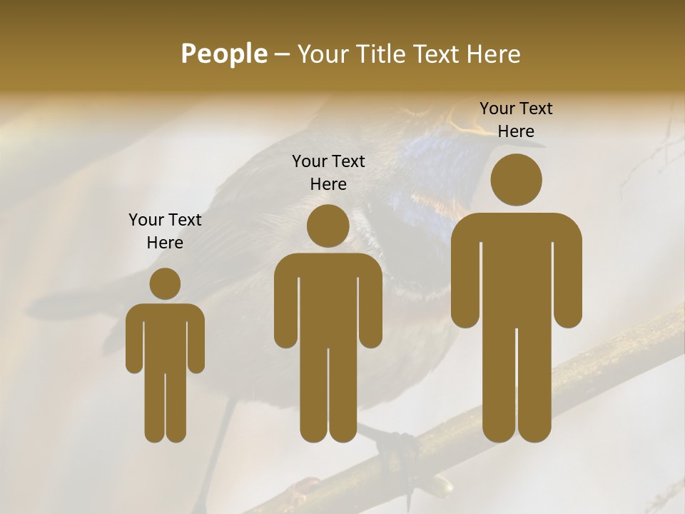 Beak Sitting Spot PowerPoint Template