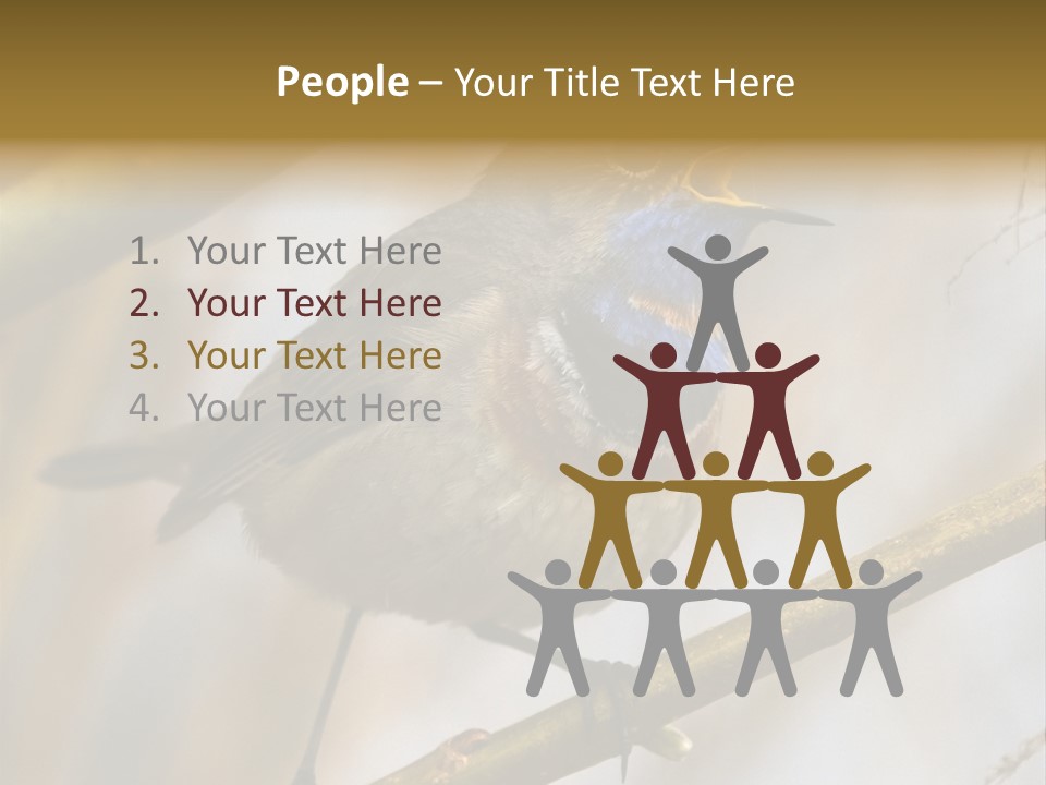 Beak Sitting Spot PowerPoint Template