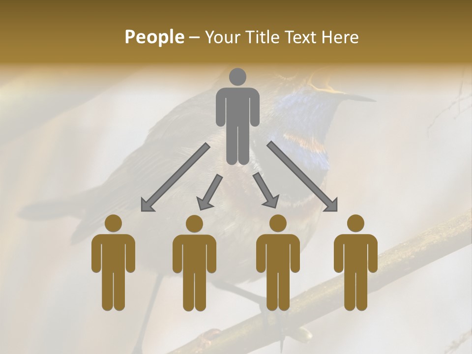 Beak Sitting Spot PowerPoint Template