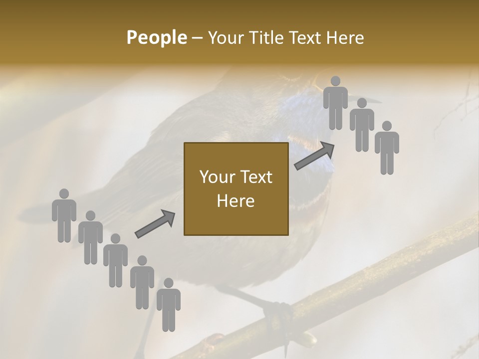 Beak Sitting Spot PowerPoint Template