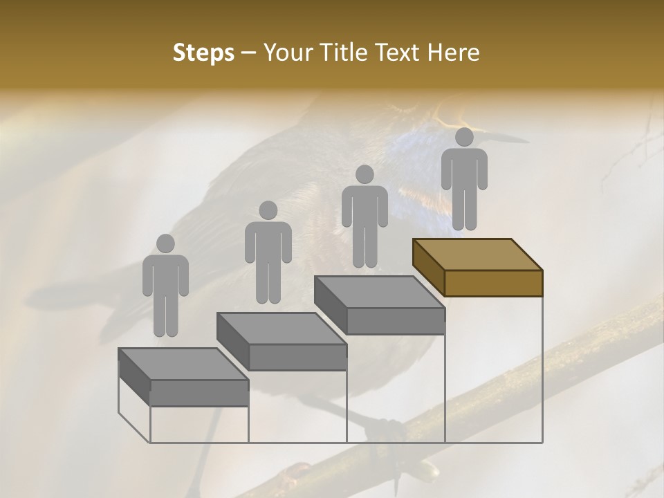 Beak Sitting Spot PowerPoint Template